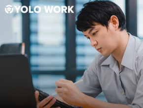 YOLO WORK Full-time job search