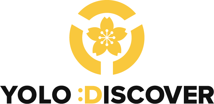 YOLO DISCOVER