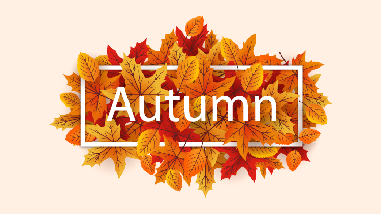 Момидзи в японии 2020. Осень время заняться собой. Осень логотип. Enjoy autumn. Enjoy autumn.